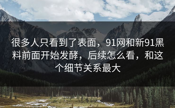 很多人只看到了表面，91网和新91黑料前面开始发酵，后续怎么看，和这个细节关系最大  第1张