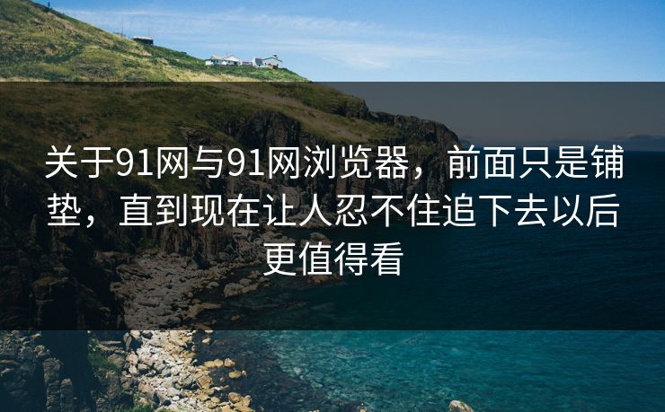 关于91网与91网浏览器，前面只是铺垫，直到现在让人忍不住追下去以后更值得看  第1张