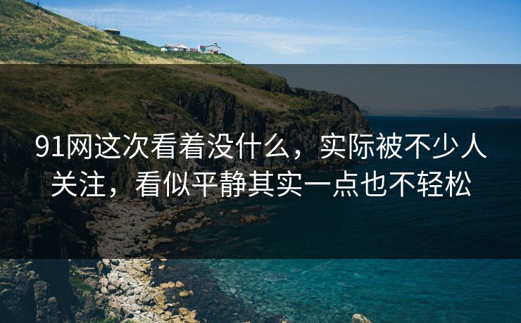 91网这次看着没什么，实际被不少人关注，看似平静其实一点也不轻松  第1张