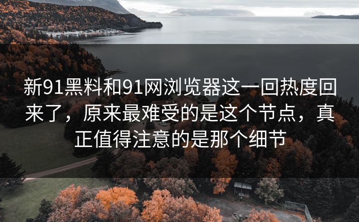 新91黑料和91网浏览器这一回热度回来了，原来最难受的是这个节点，真正值得注意的是那个细节  第1张