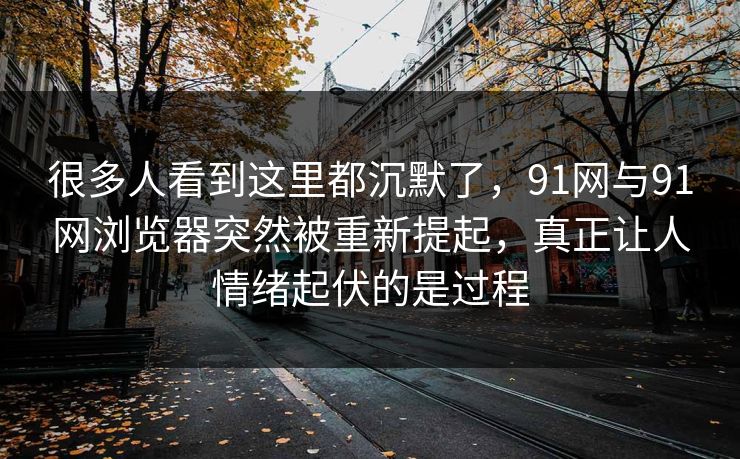 很多人看到这里都沉默了，91网与91网浏览器突然被重新提起，真正让人情绪起伏的是过程  第1张