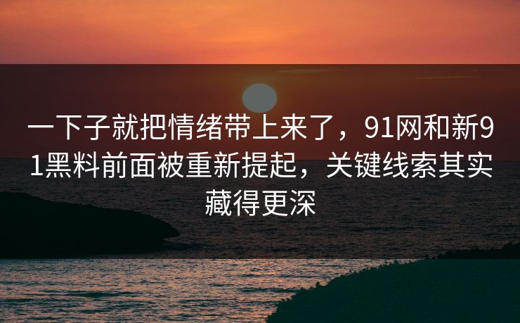 一下子就把情绪带上来了，91网和新91黑料前面被重新提起，关键线索其实藏得更深  第1张